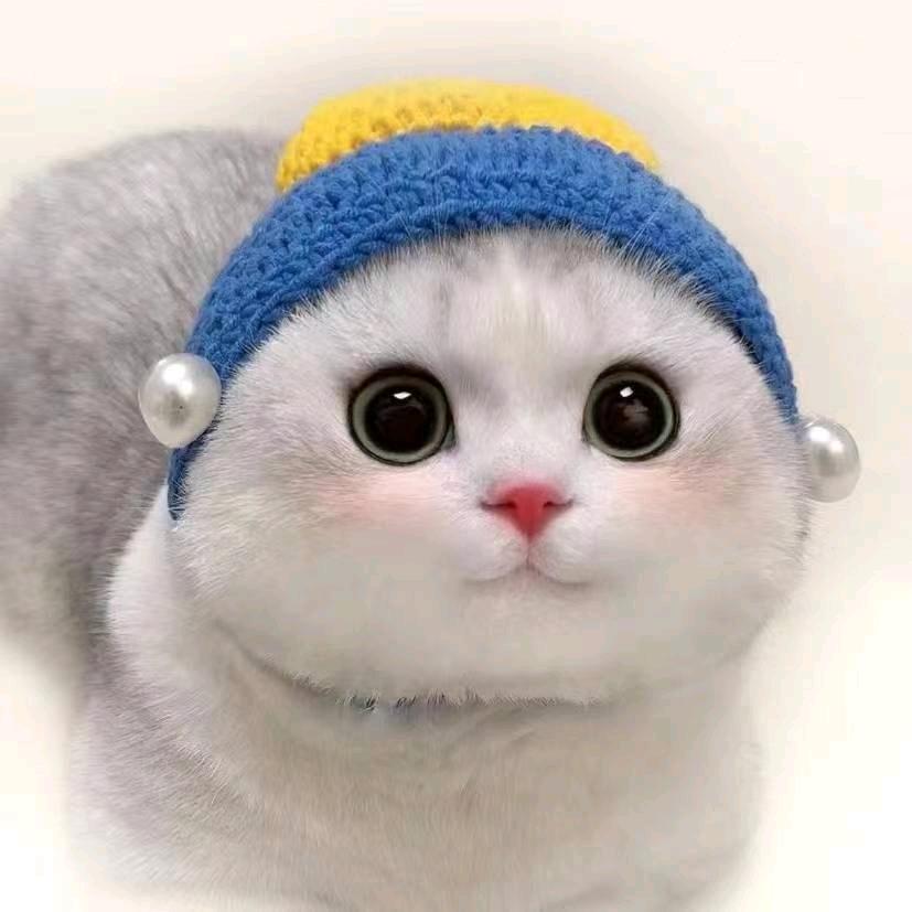 🌈🌈᭄꯭騄人甲