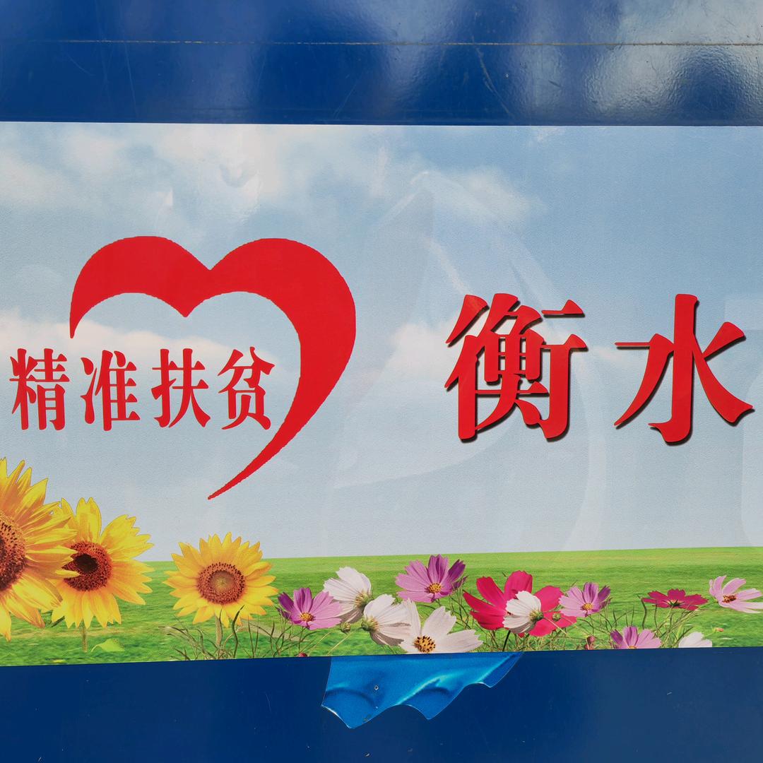 燕雀安知鸿鹄之志