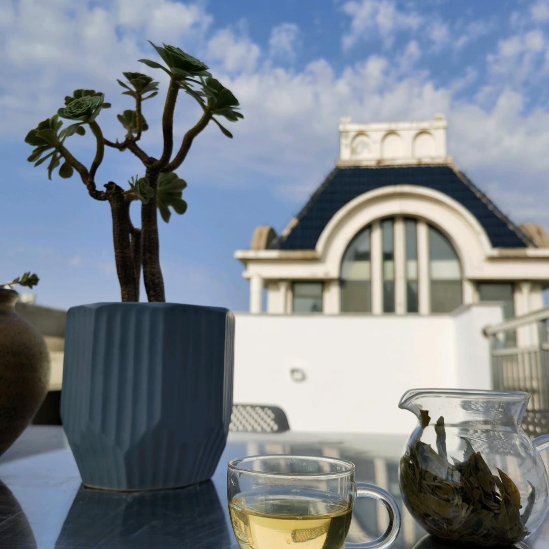 养马岛露台民宿