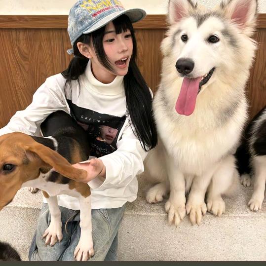 小星星⭐️
