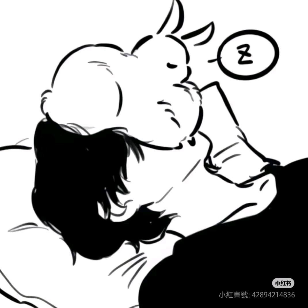 姗