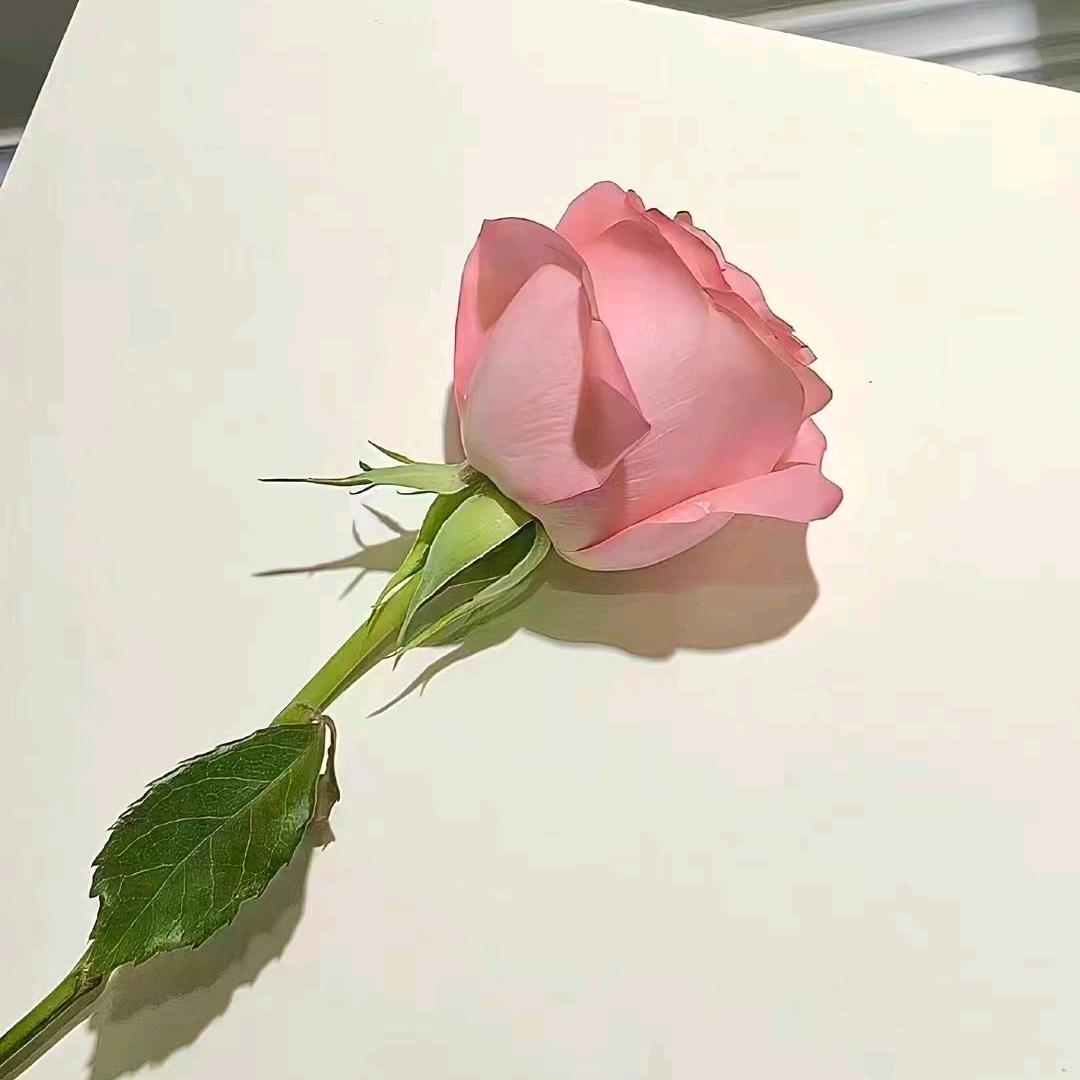 雾非雾