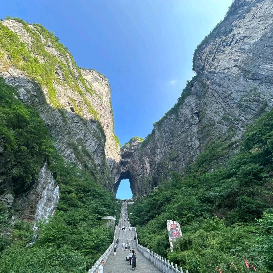 茶是冰红茶