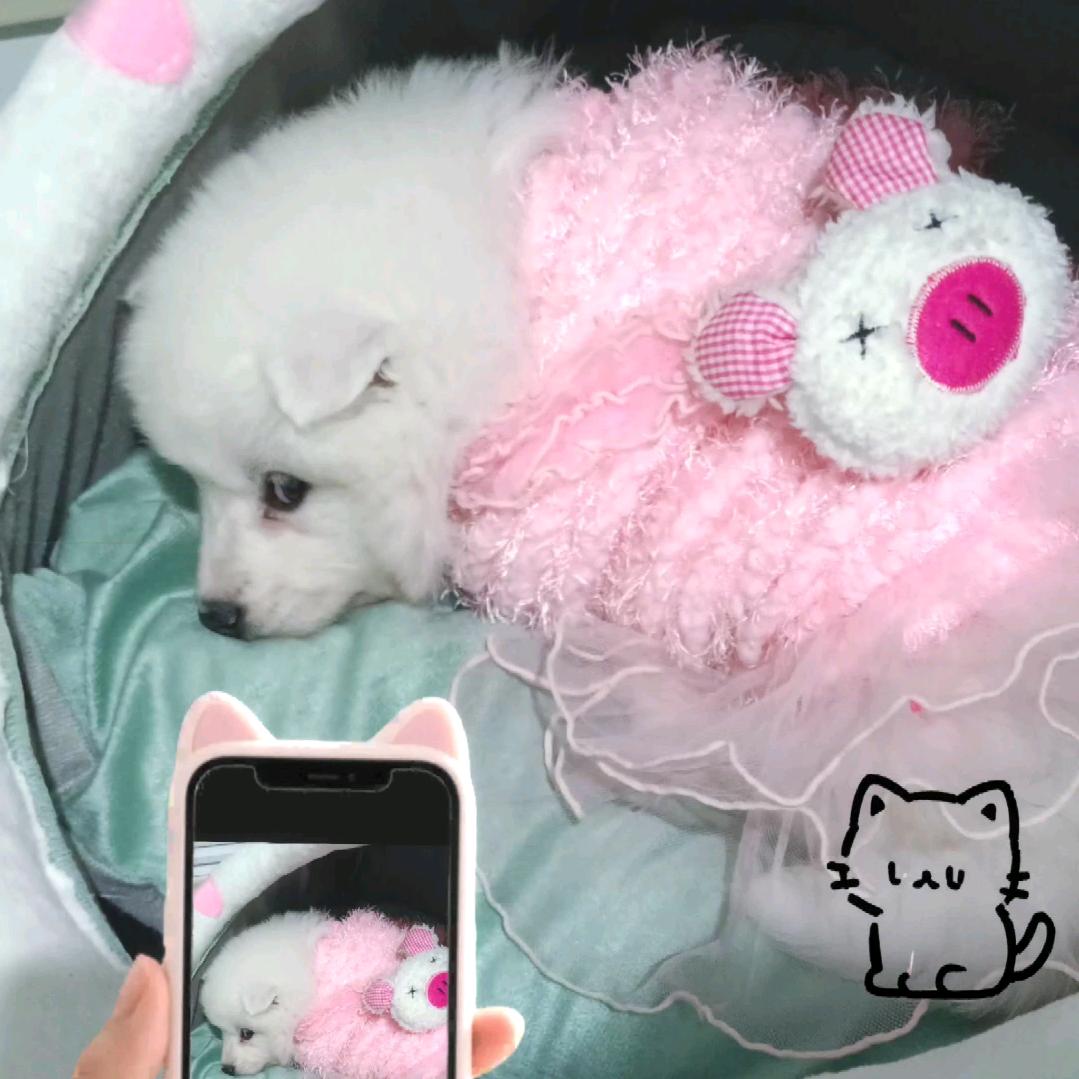 💋月亮打烊了💋