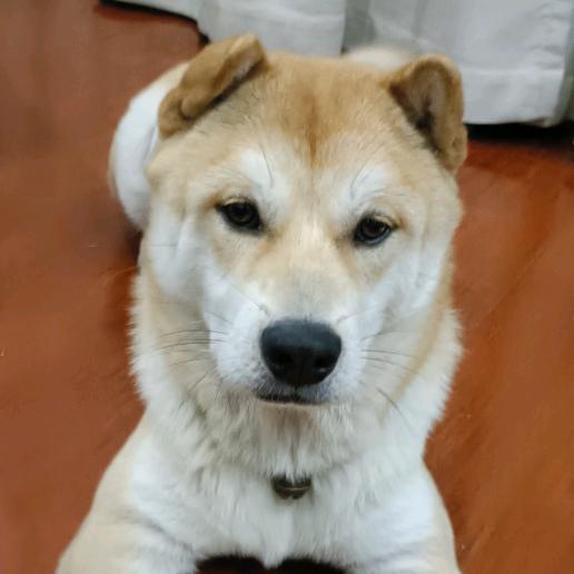 田园生活