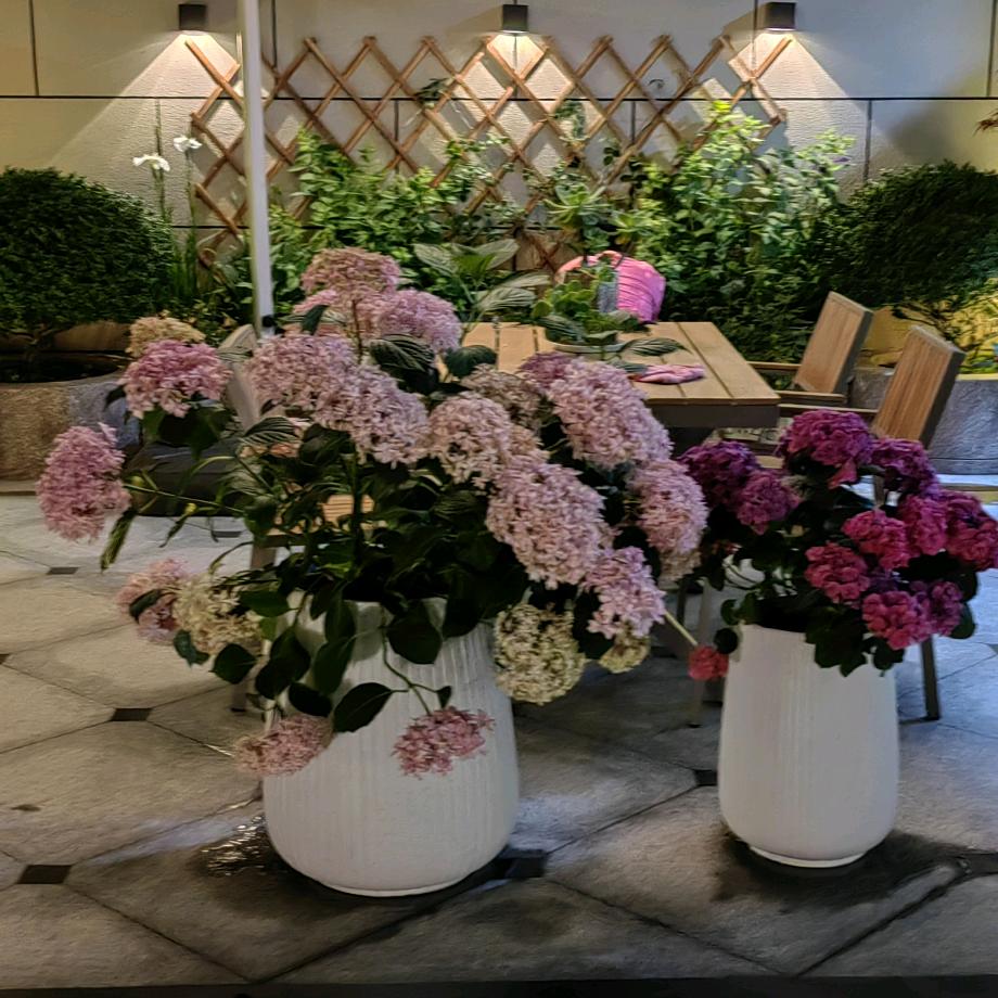 广缘庭院景观园林设计制作施工