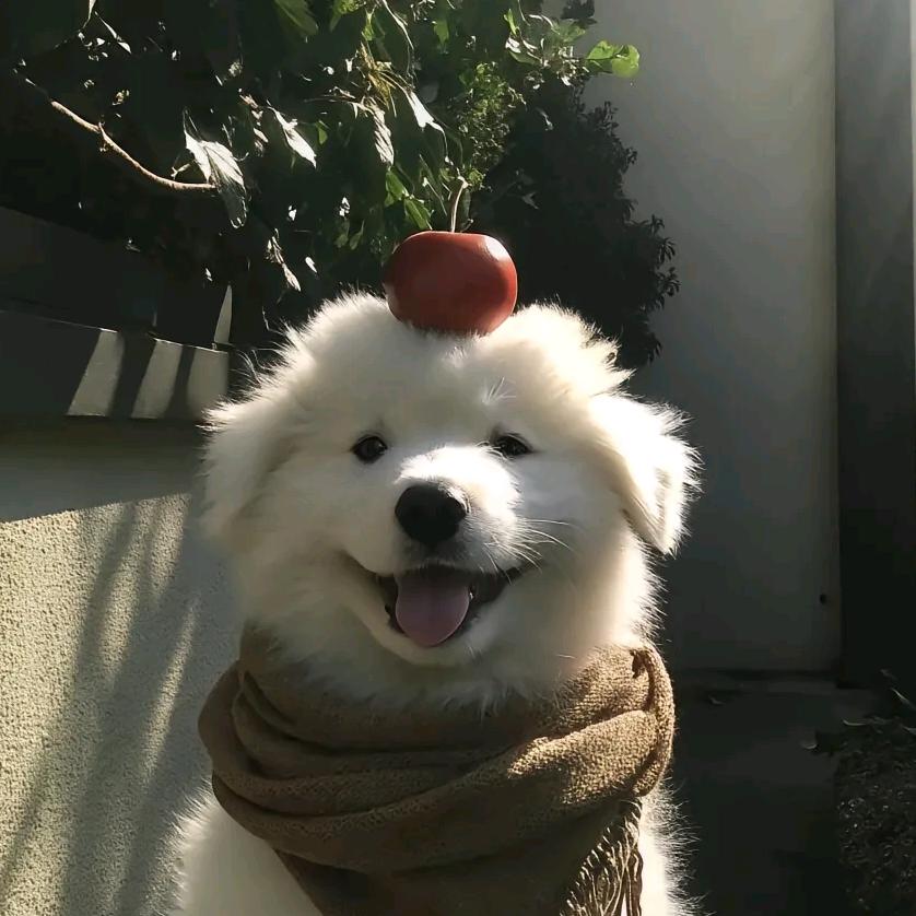 清澈