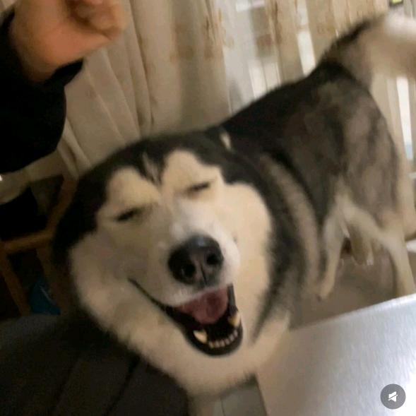 枭栖