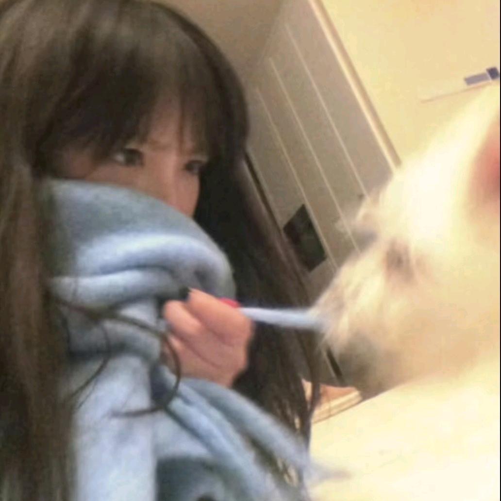 巴拉巴巴
