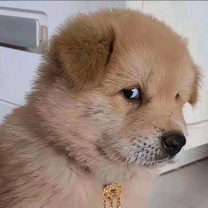 ditch between fields