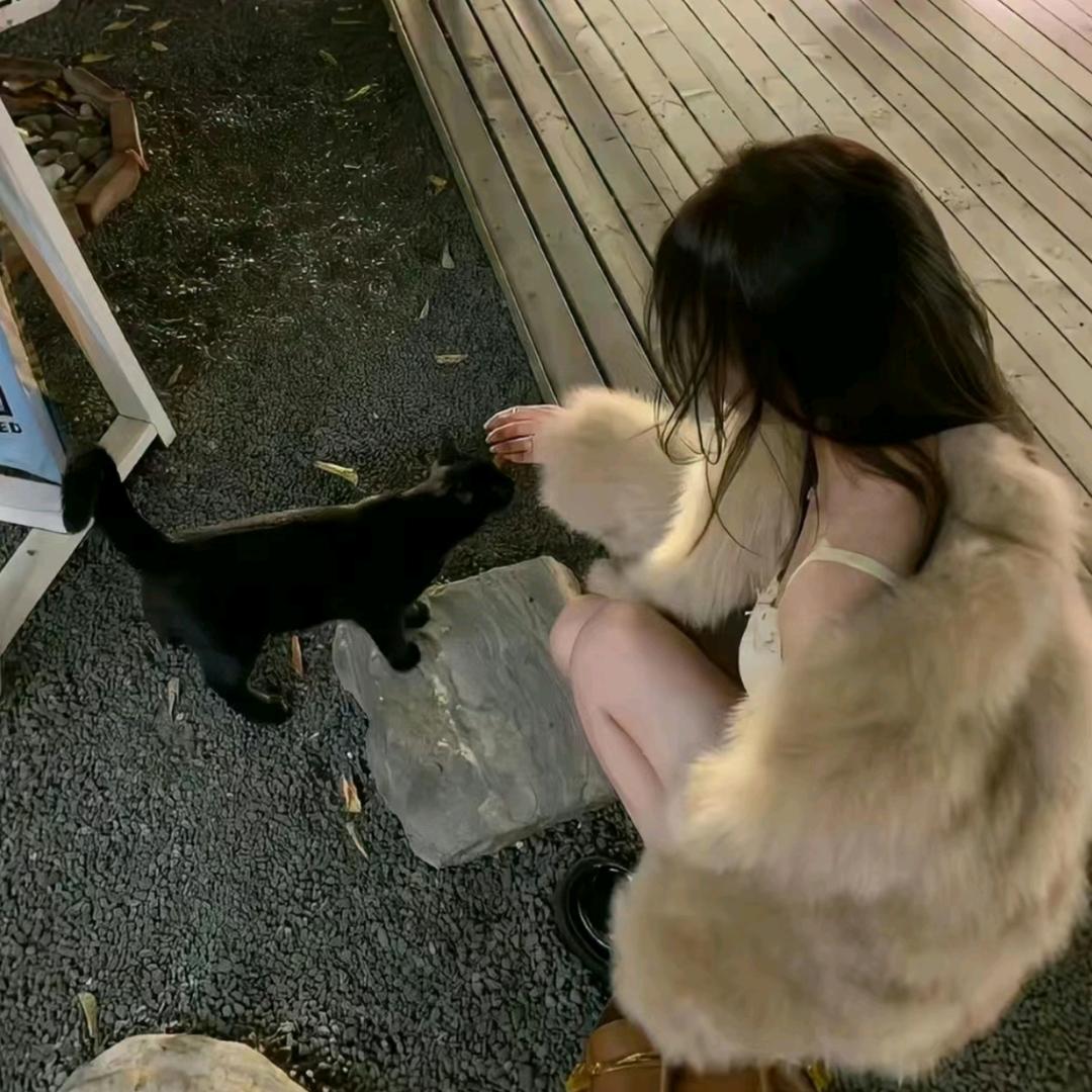 糖醋溜溜梅~