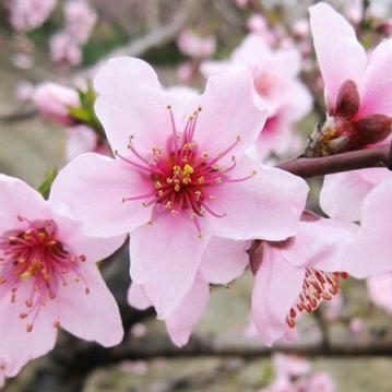 ℳঞ余生平安❧²⁰2⁵