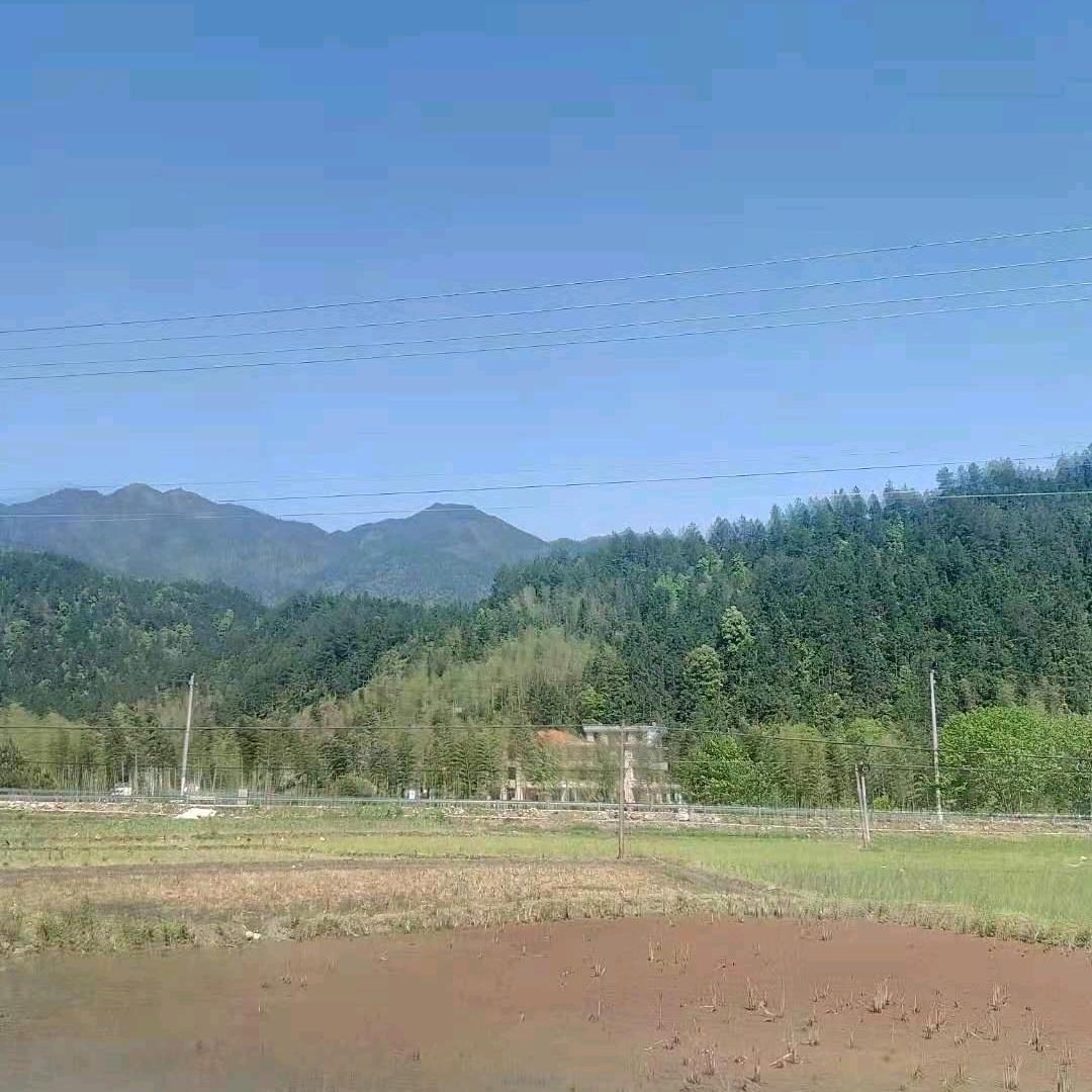 平平淡淡