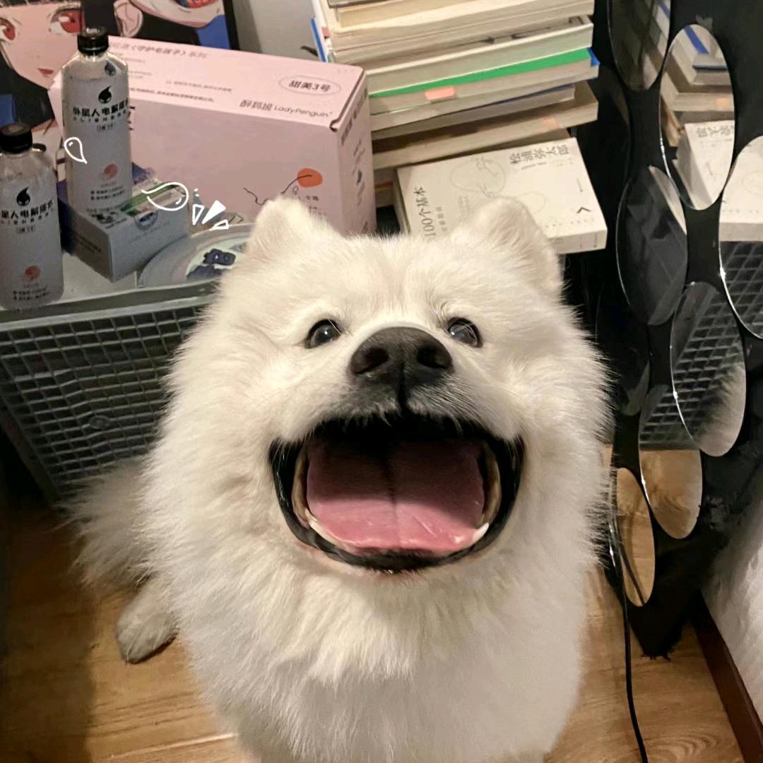 南宁绿腾翟学长