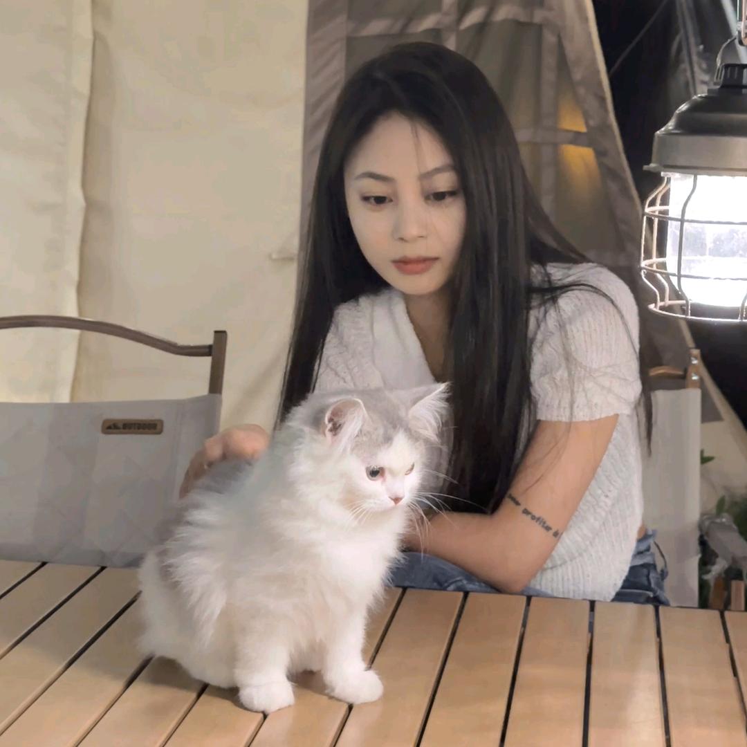 重庆酒吧