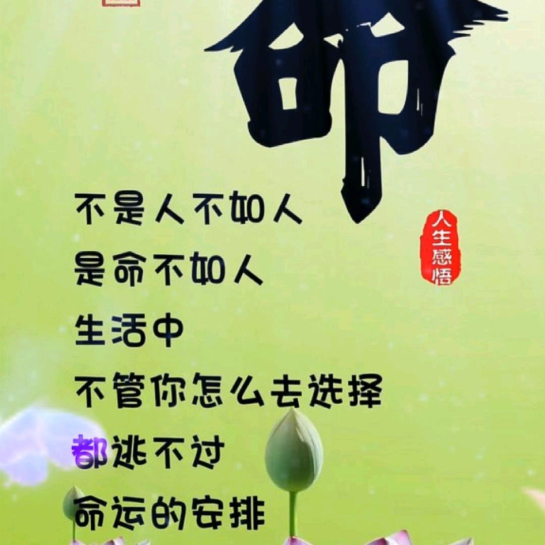 回忆🌊