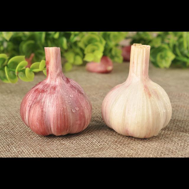 蒜🧄有伴，我没瓣。