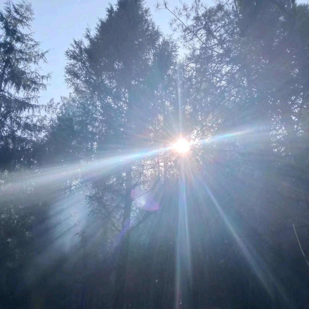 ঞ🍒好运常在꧔ꦿ᭄࿐ᩚ