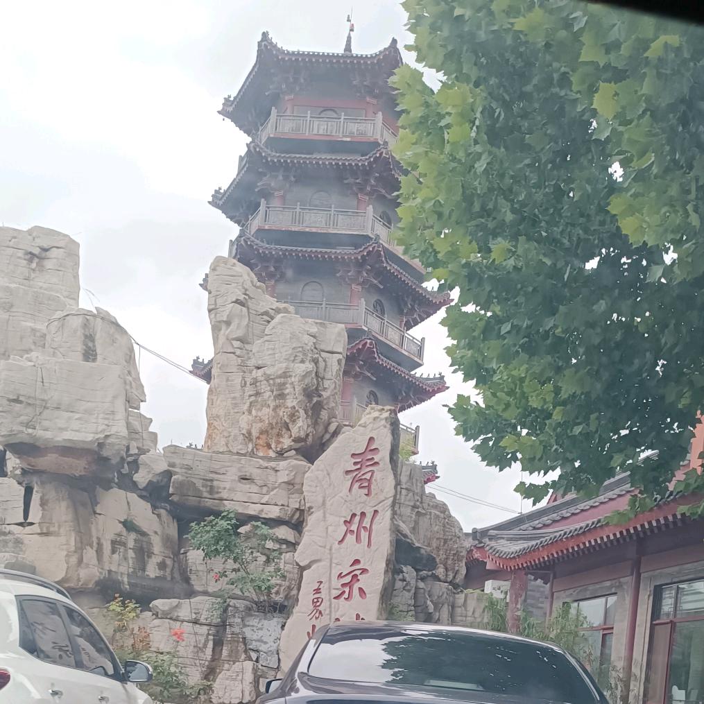 星辰✨✨头像