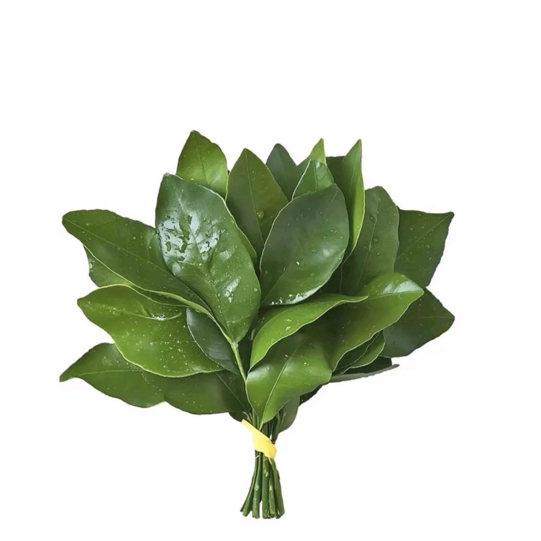 彭于晏.