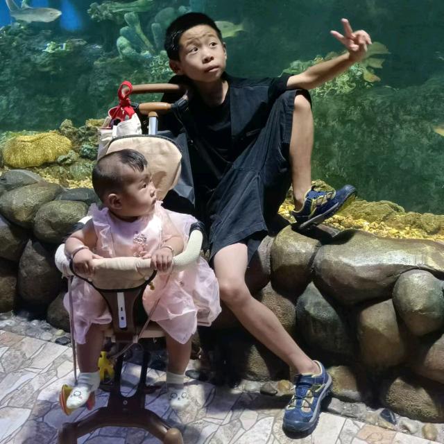 简简单单（90年的马）
