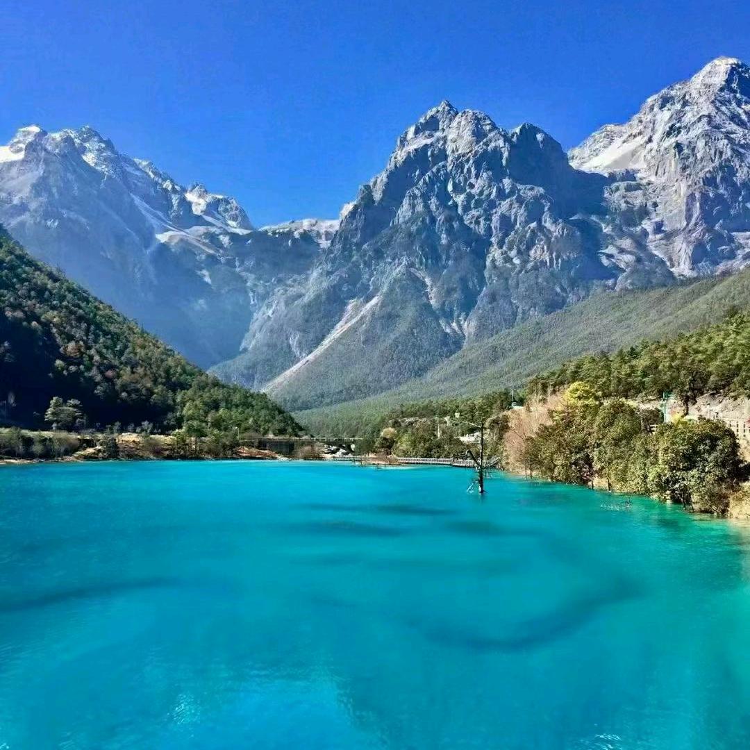 ☀️🍒燃栀🍒☀️