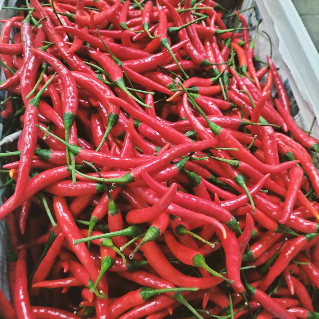 ＠思钱＊想厚^0^