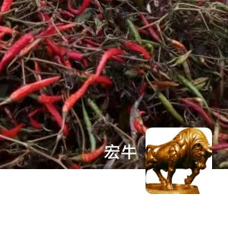 宏牛