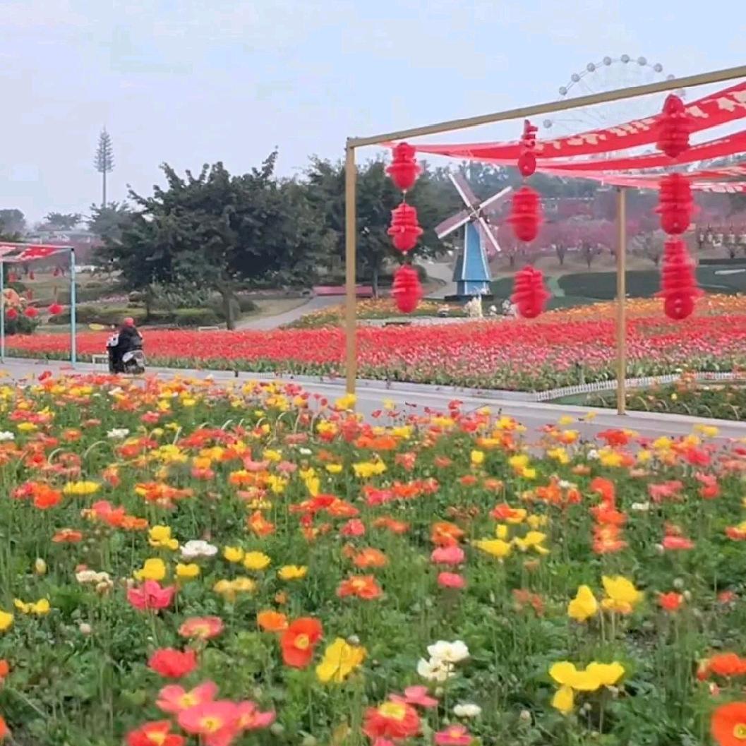zql努力向前