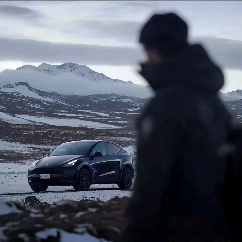 特斯拉TESLA｜顾白白