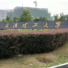 两个儿子的妈妈
