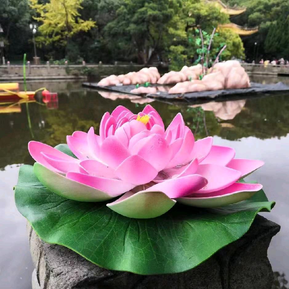 🇨🇳小คิด雨🇨🇳