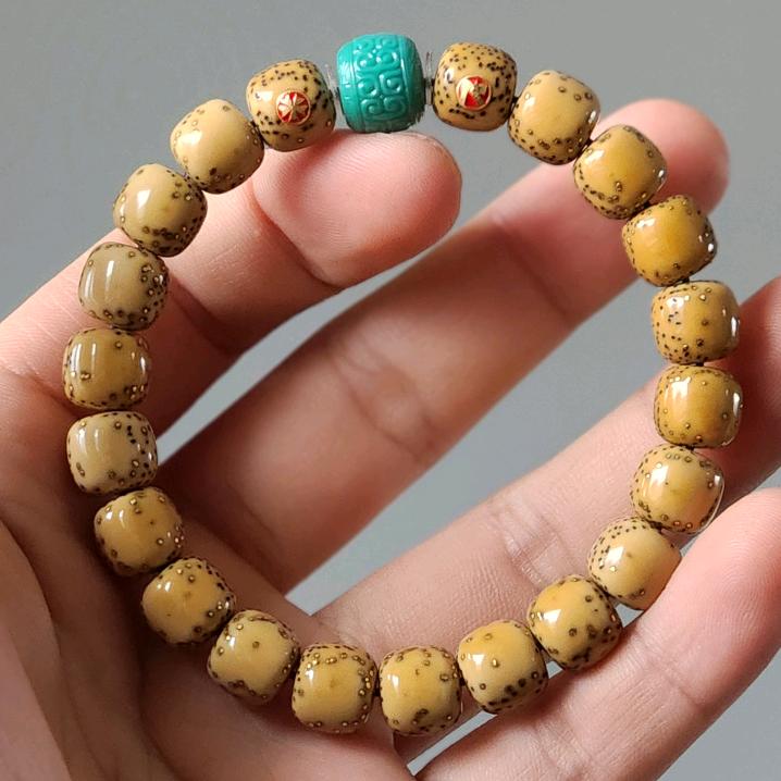 观海万物