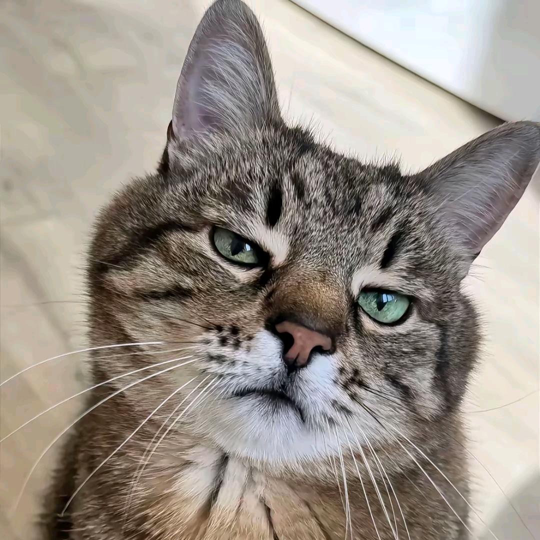 旻承₍˄·͈ ·͈˄₎◞