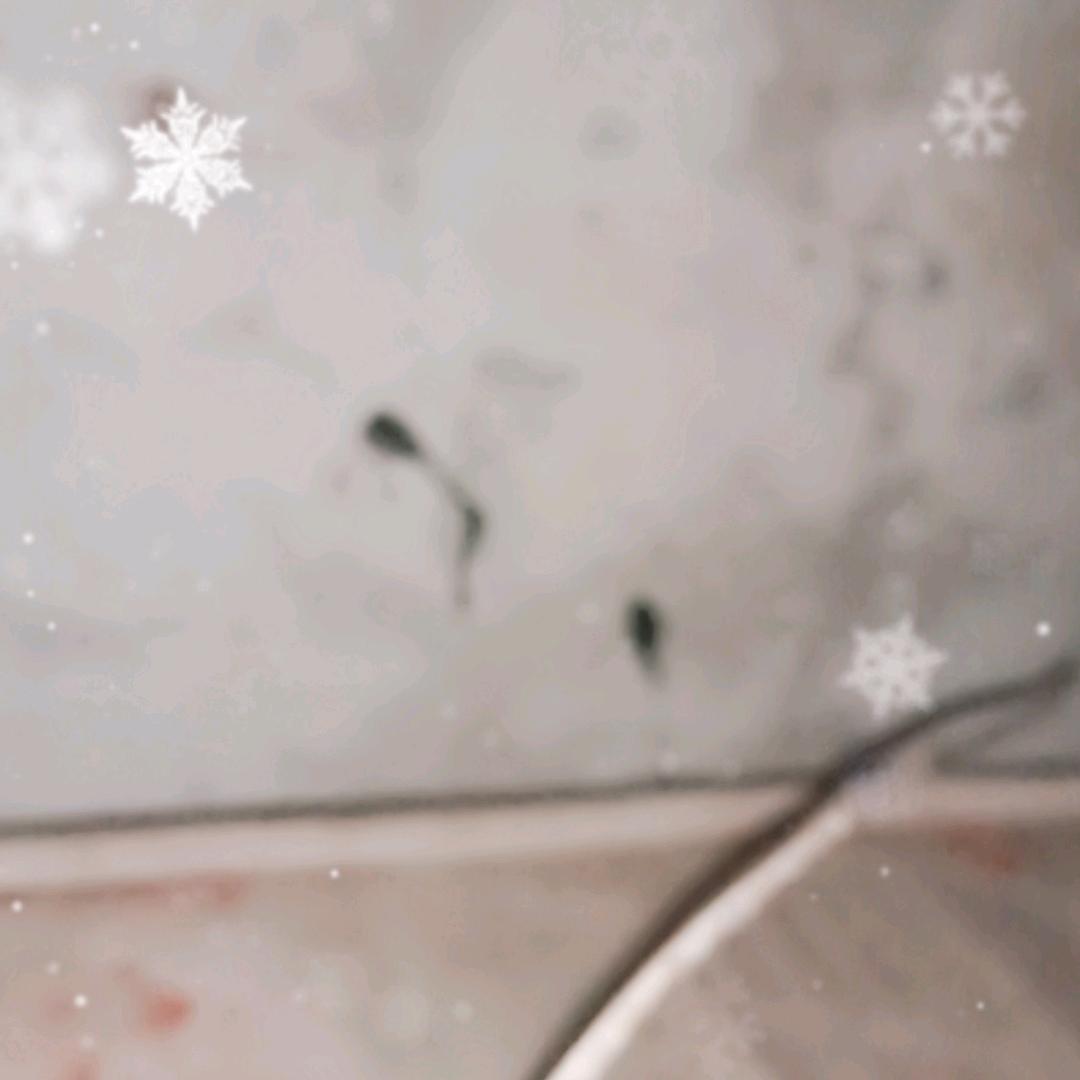 用户7265565162846