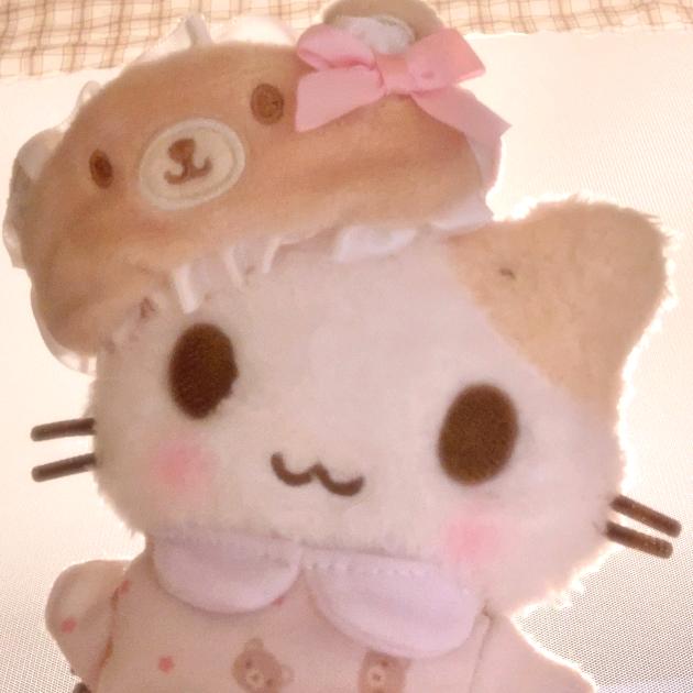 T^kitty^T