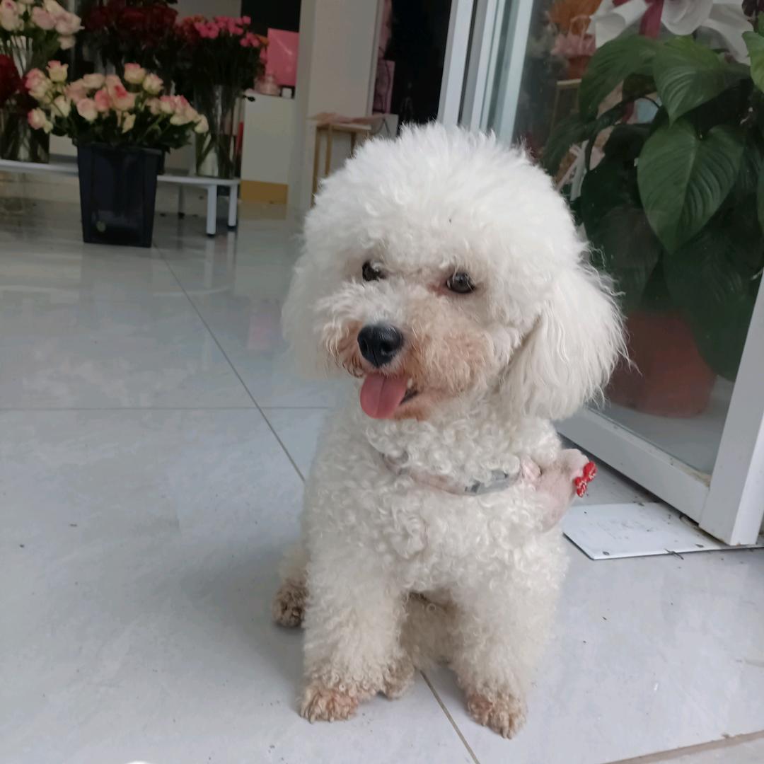 小管家