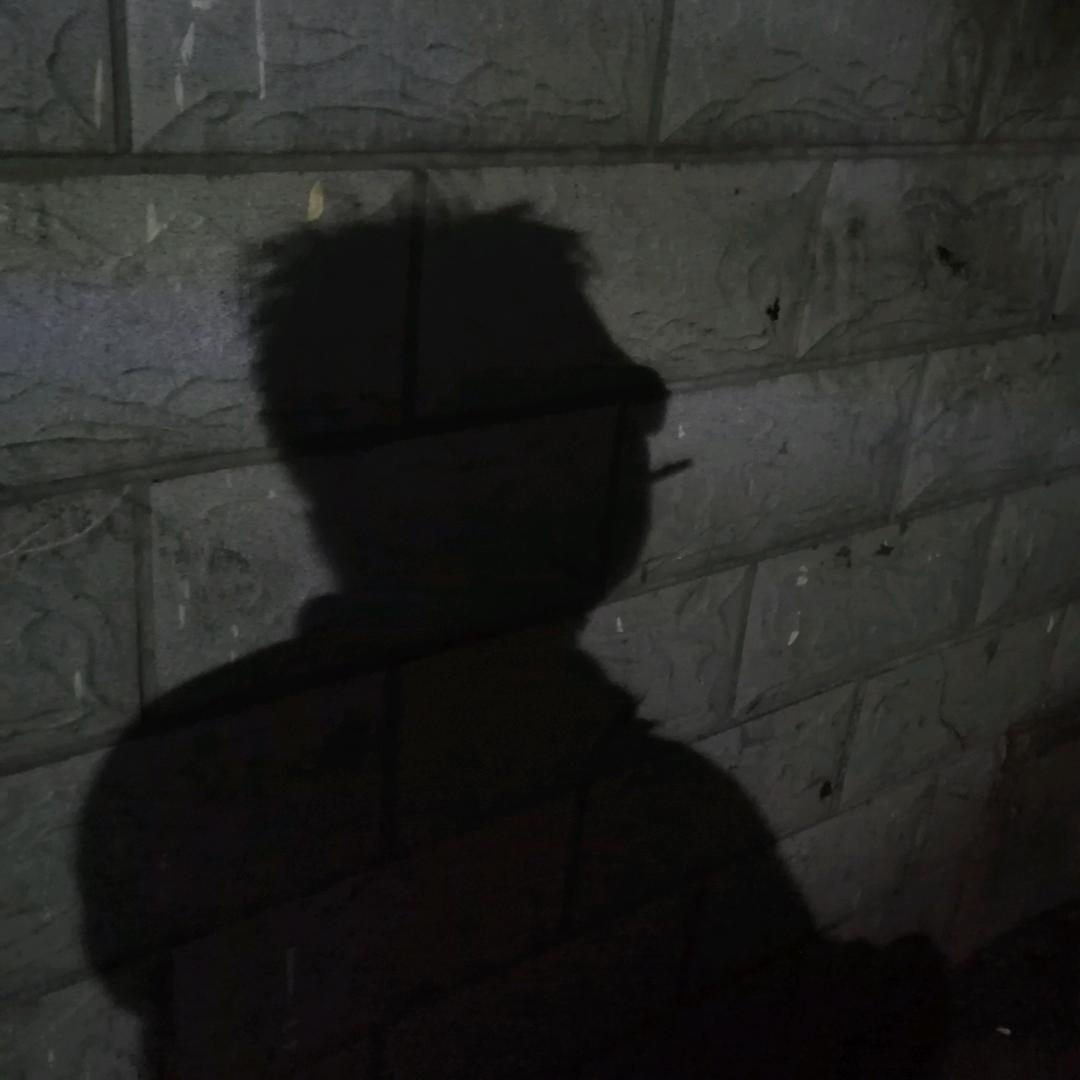 半城苍碧半城玄