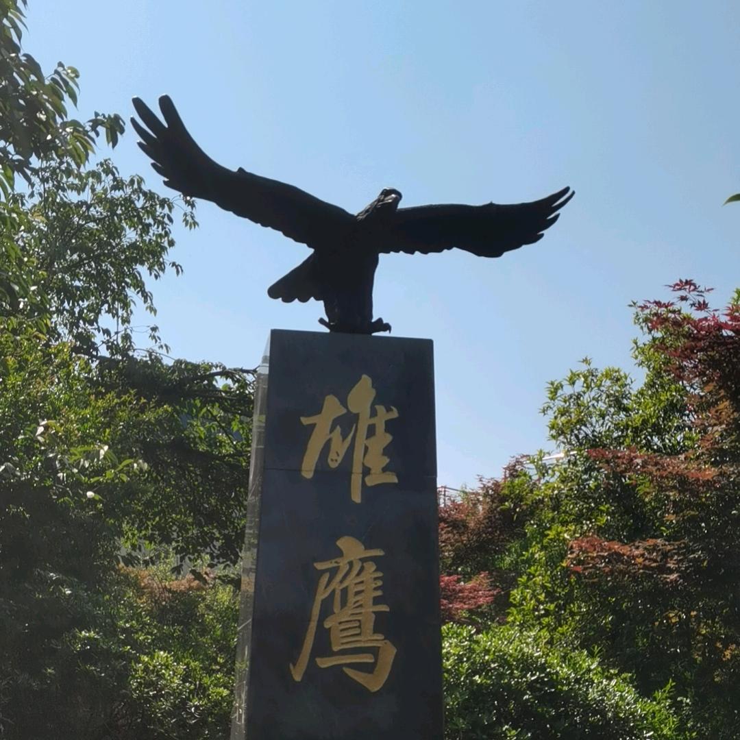 舍得