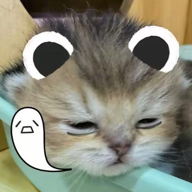 悲