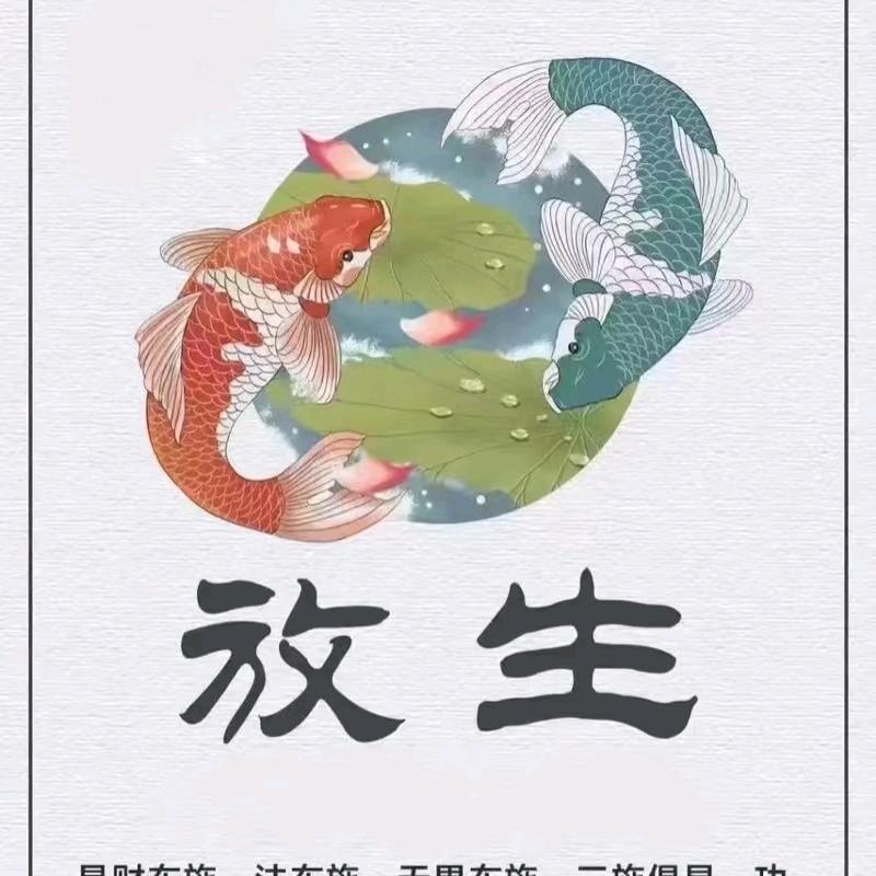 放生/广结善缘