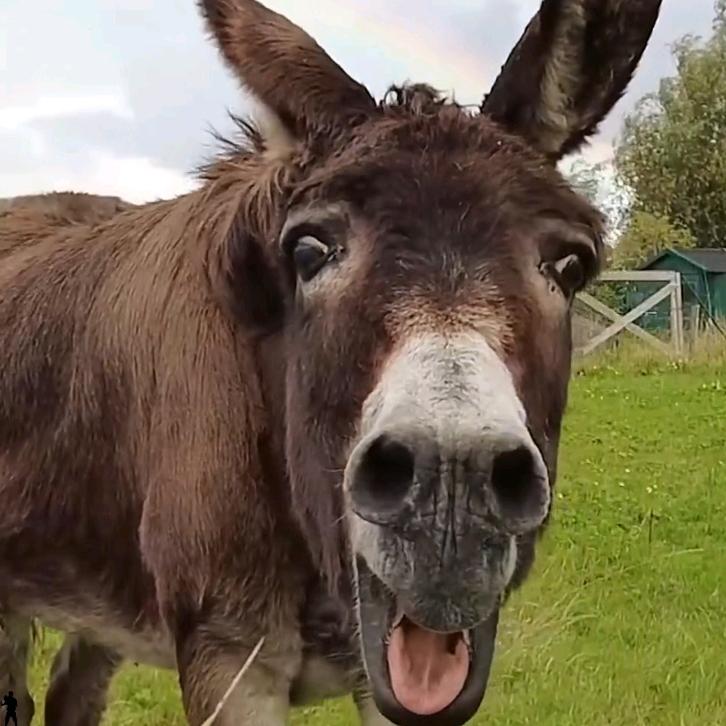 我帮你扶着（复读的苦命人）