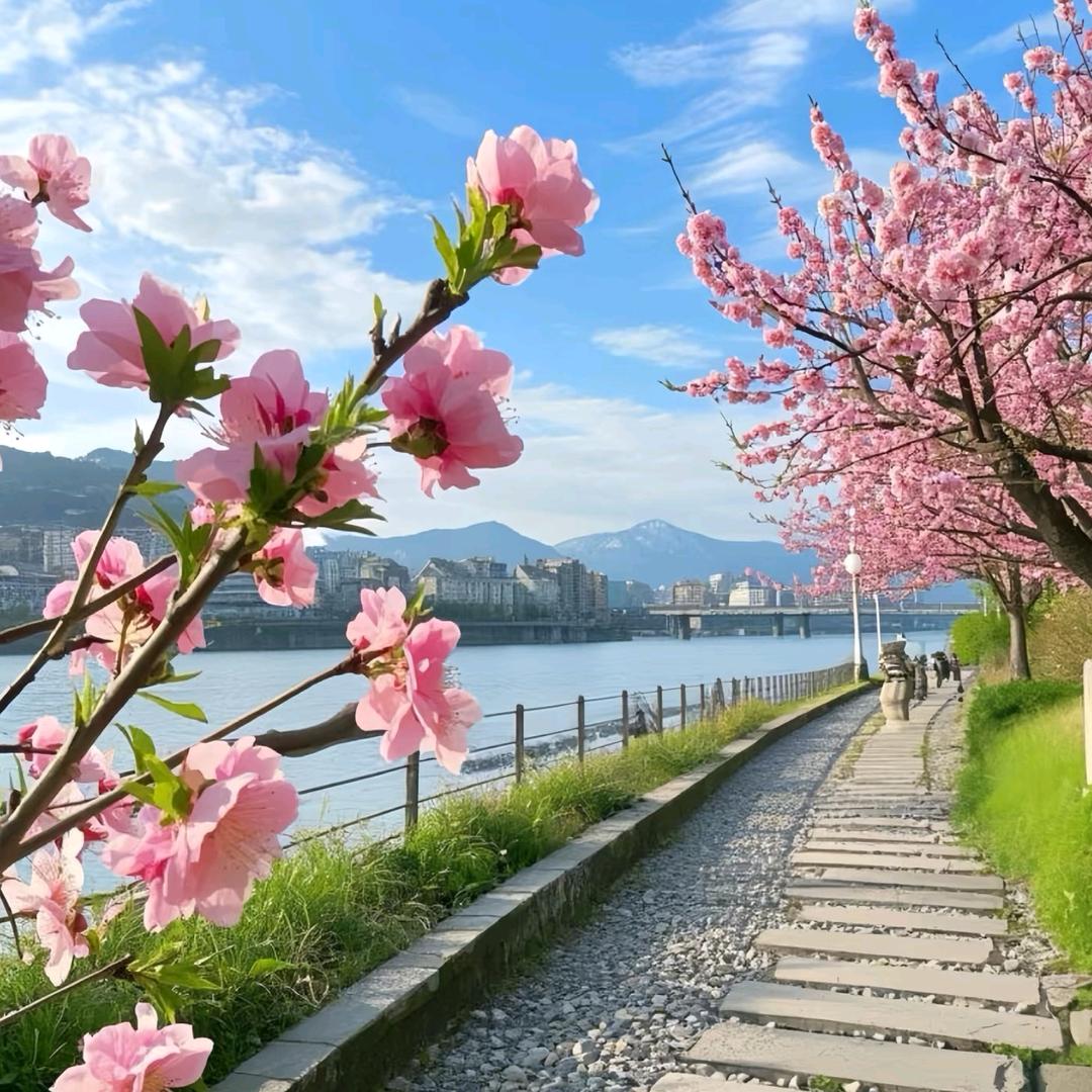 小可爱