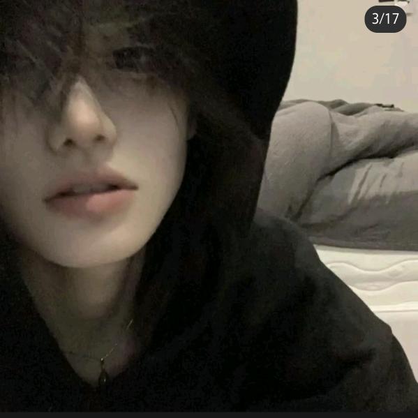 会煮火鸡面就行