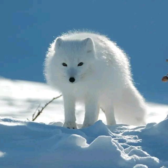 星期八不见不散