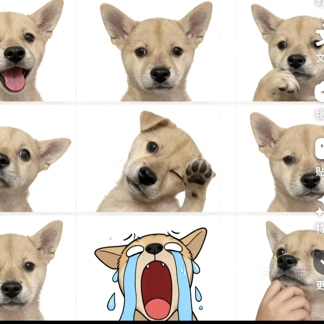 小憨包
