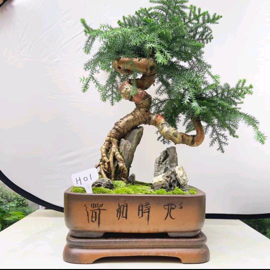 花间匠