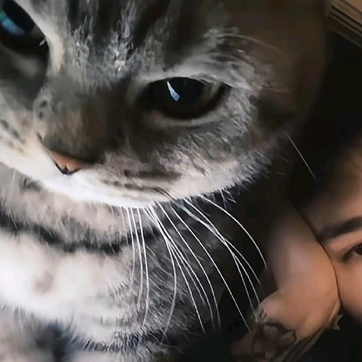 一世浮沉