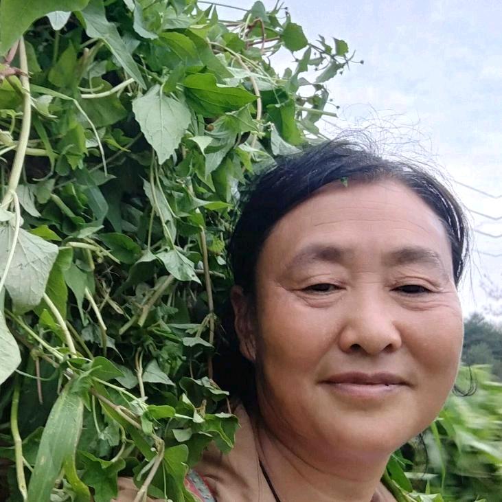 刘姐记录农村生活