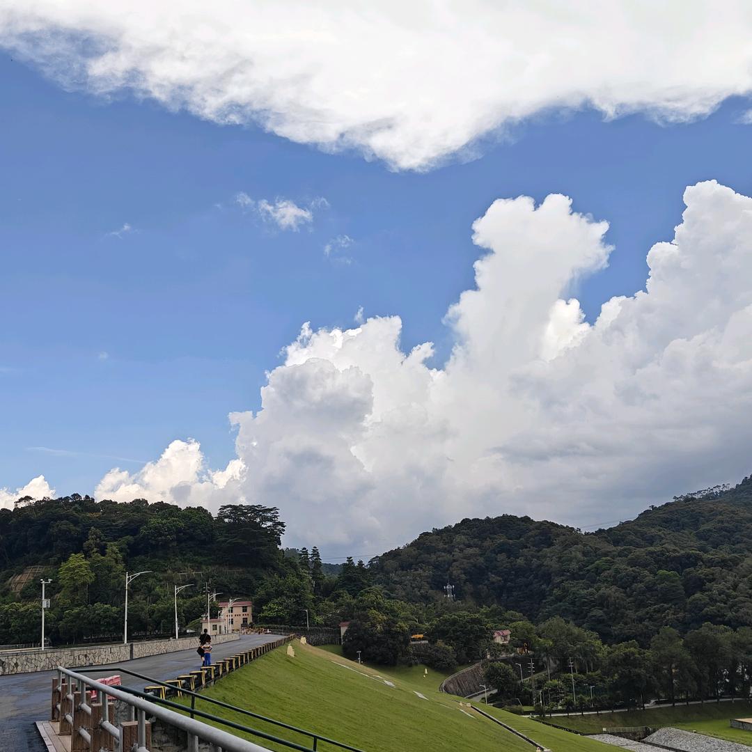 每天实现财富自由🙉